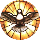 Steven 'la Pako profile picture